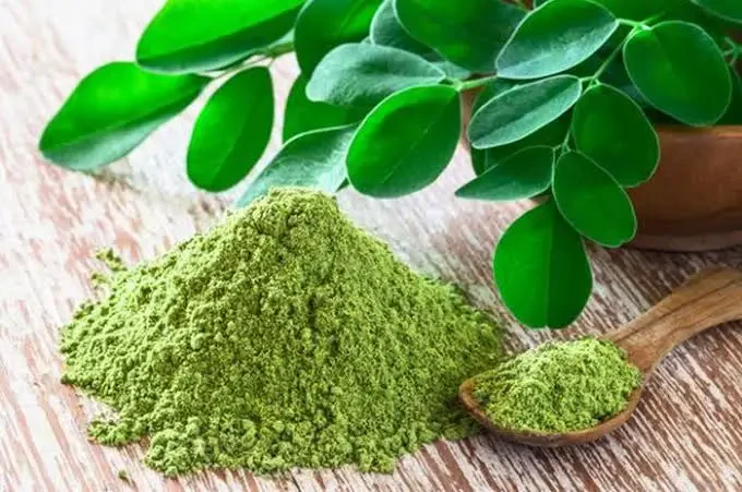 Moringa Powder 2 of 3